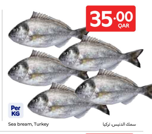 available at Carrefour in Qatar - Doha