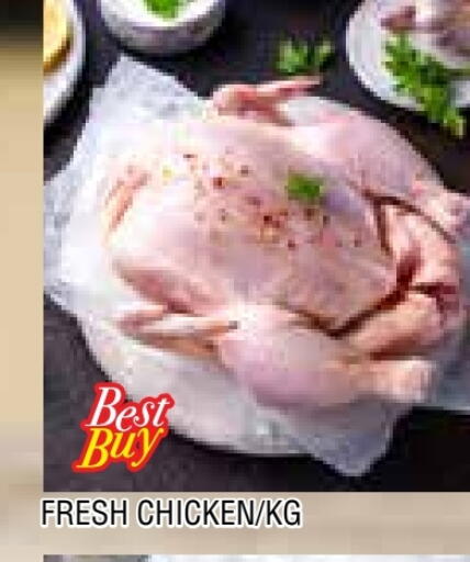 دجاج كامل طازج available at المدينة in الإمارات العربية المتحدة , الامارات - الشارقة / عجمان