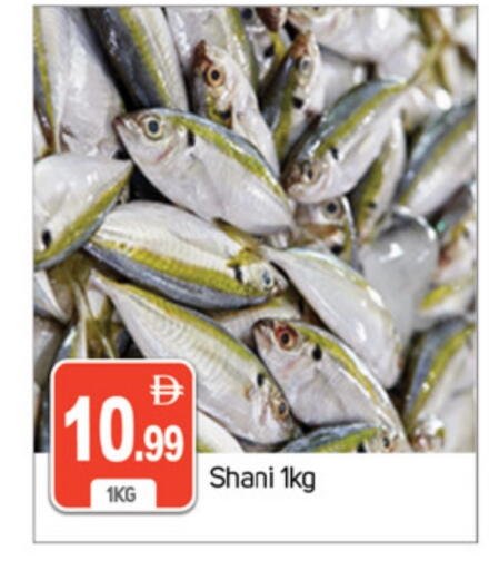 available at سوق طلال in الإمارات العربية المتحدة , الامارات - دبي