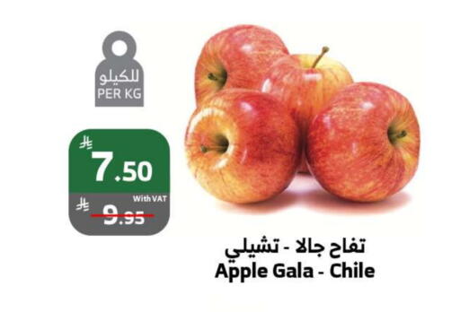 Apples from Chile available at Al Raya in KSA, Saudi Arabia, Saudi - Tabuk