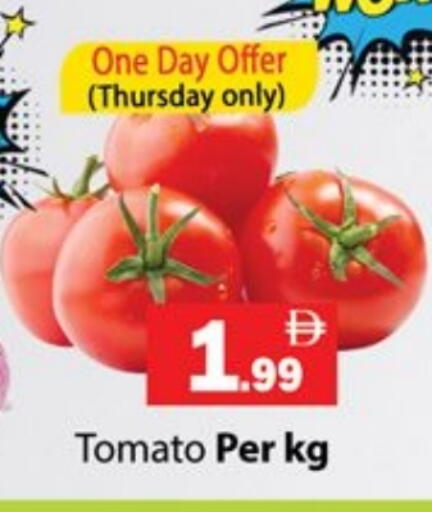 Tomato available at جلف هايبرماركت ذ.م.م in الإمارات العربية المتحدة , الامارات - رَأْس ٱلْخَيْمَة