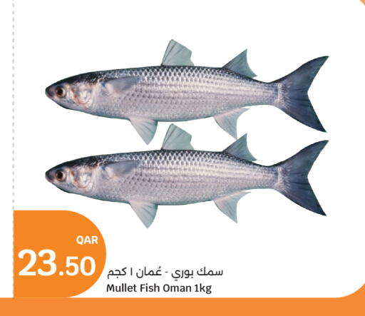 available at City Hypermarket in Qatar - Doha