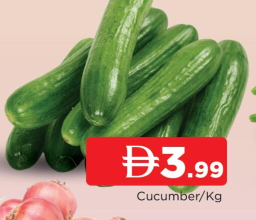 خيار available at المدينة in الإمارات العربية المتحدة , الامارات - الشارقة / عجمان