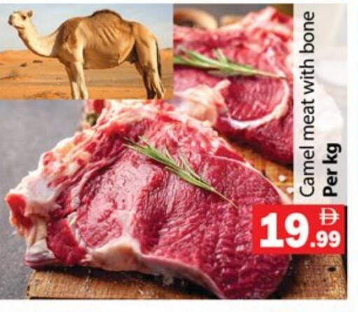 available at جلف هايبرماركت ذ.م.م in الإمارات العربية المتحدة , الامارات - رَأْس ٱلْخَيْمَة