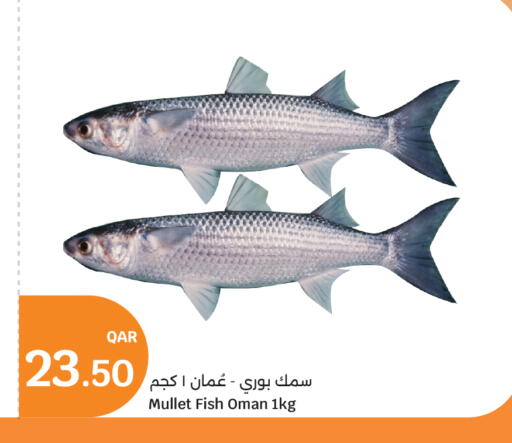 available at City Hypermarket in Qatar - Al Wakra