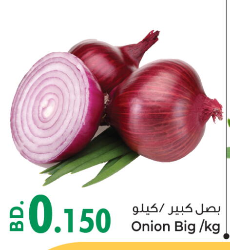 بصل from Bahrain available at بحرين برايد in البحرين