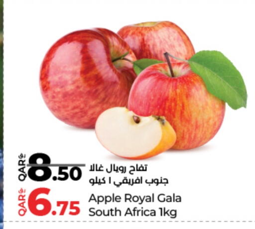 تفاح from South Africa available at لولو هايبرماركت in قطر - الشمال