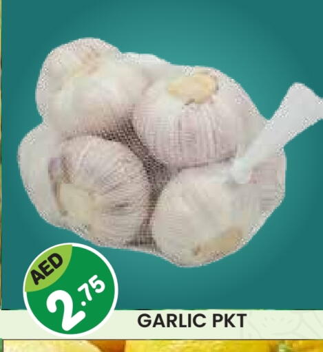 Garlic available at سنابل بني ياس in الإمارات العربية المتحدة , الامارات - رَأْس ٱلْخَيْمَة