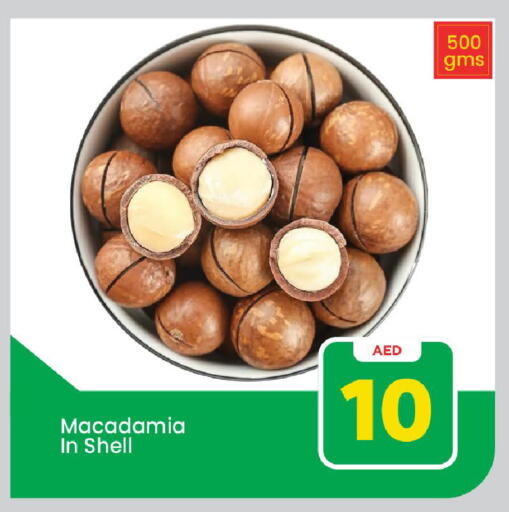 available at مارك & سيف in الإمارات العربية المتحدة , الامارات - دبي