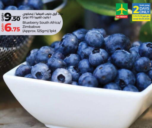 Blueberry BlueBerry from South Africa Zimbabwe available at LuLu Hypermarket in Qatar - Al-Shahaniya