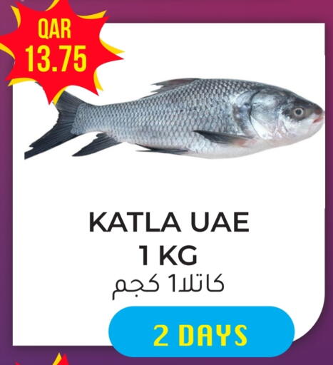 available at Rambo Mart in Qatar - Al Shamal