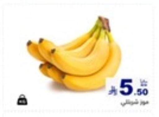 available at أسواق رامز in مملكة العربية السعودية, السعودية, سعودية - تبوك