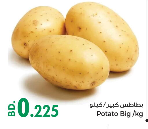 بطاطا from Bahrain available at بحرين برايد in البحرين