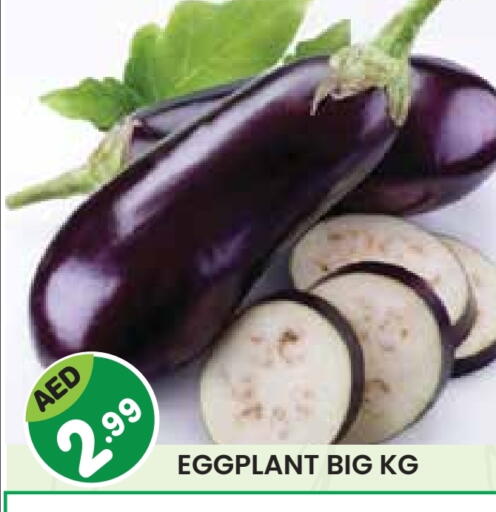 Eggplant available at سنابل بني ياس in الإمارات العربية المتحدة , الامارات - رَأْس ٱلْخَيْمَة