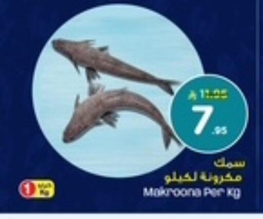 available at نستو in مملكة العربية السعودية, السعودية, سعودية - الخبر‎