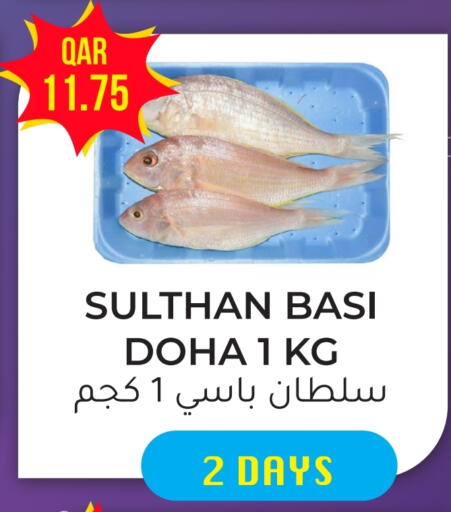 available at Rambo Mart in Qatar - Al Shamal