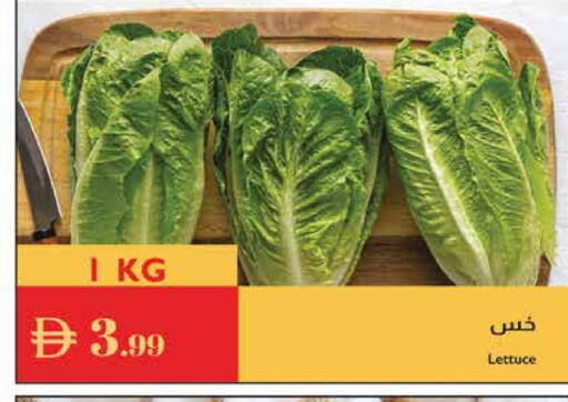 Lettuce available at إسطنبول سوبرماركت in الإمارات العربية المتحدة , الامارات - رَأْس ٱلْخَيْمَة