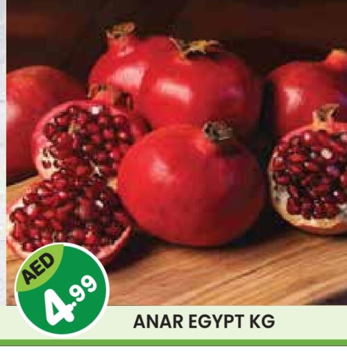 رمان from Egypt available at سنابل بني ياس in الإمارات العربية المتحدة , الامارات - رَأْس ٱلْخَيْمَة