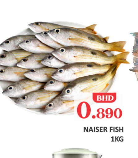 available at طلال ماركت in البحرين