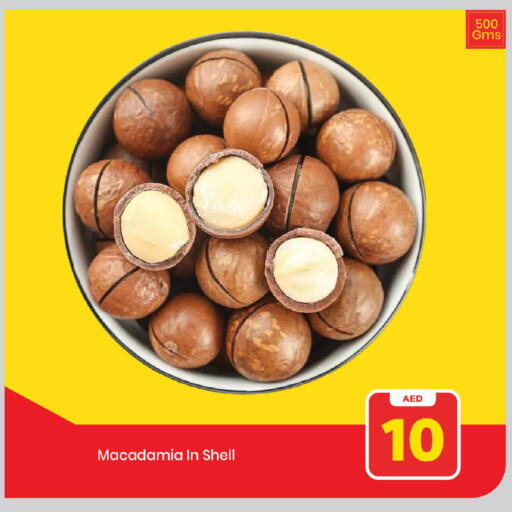 available at مارك & سيف in الإمارات العربية المتحدة , الامارات - دبي