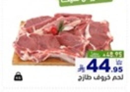 available at أسواق رامز in مملكة العربية السعودية, السعودية, سعودية - تبوك
