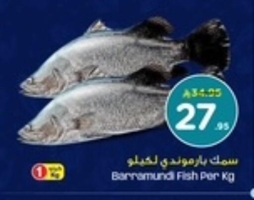 available at نستو in مملكة العربية السعودية, السعودية, سعودية - الخبر‎