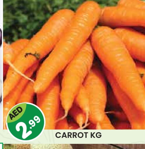 Carrot available at سنابل بني ياس in الإمارات العربية المتحدة , الامارات - رَأْس ٱلْخَيْمَة