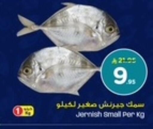 available at نستو in مملكة العربية السعودية, السعودية, سعودية - الخبر‎
