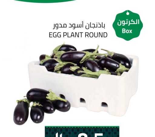 available at Astra Markets in KSA, Saudi Arabia, Saudi - Tabuk