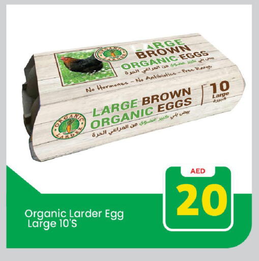 available at Mark & Save in UAE - Dubai