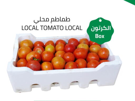 طماطم available at أسواق أسترا in مملكة العربية السعودية, السعودية, سعودية - تبوك