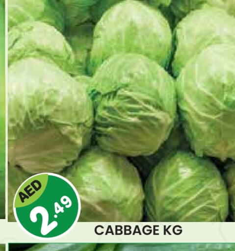 Cabbage available at سنابل بني ياس in الإمارات العربية المتحدة , الامارات - رَأْس ٱلْخَيْمَة