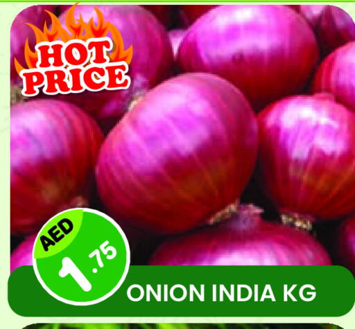 Onion from India available at Fresh Spike Supermarket in UAE - Dubai