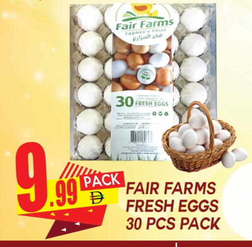 available at Dream Land in UAE - Dubai