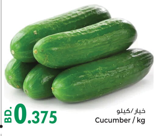 خيار from Bahrain available at بحرين برايد in البحرين