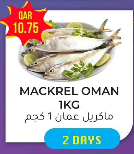 available at Rambo Mart in Qatar - Al Shamal