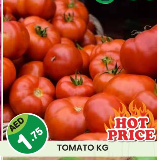 Tomato available at سنابل بني ياس in الإمارات العربية المتحدة , الامارات - رَأْس ٱلْخَيْمَة