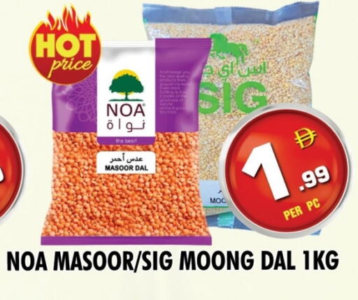 available at نايت تو نايت in الإمارات العربية المتحدة , الامارات - دبي
