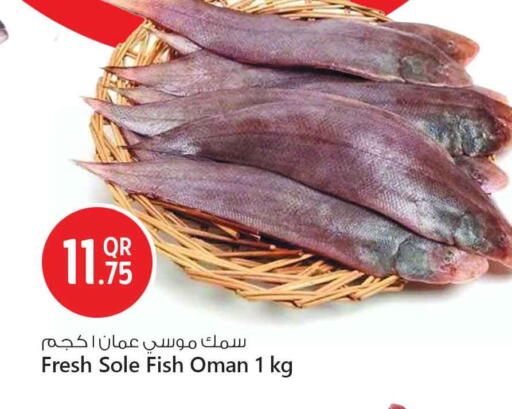 available at Safari Hypermarket in Qatar - Al Wakra