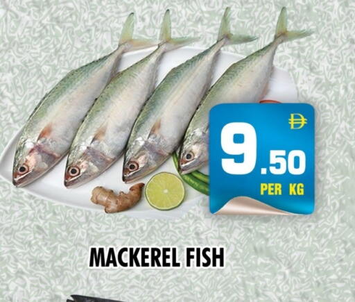 available at نايت تو نايت in الإمارات العربية المتحدة , الامارات - دبي
