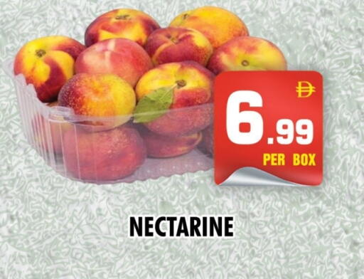 Nectarine available at نايت تو نايت in الإمارات العربية المتحدة , الامارات - دبي