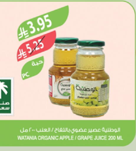 Apple available at Farm  in KSA, Saudi Arabia, Saudi - Yanbu