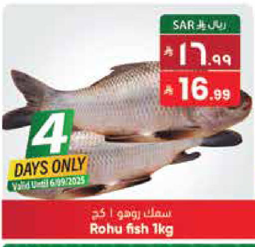 available at ستي فلاور in مملكة العربية السعودية, السعودية, سعودية - سكاكا