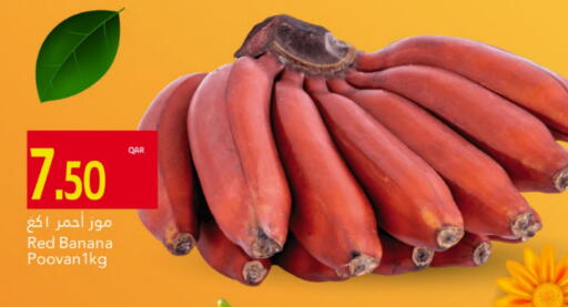 موز available at جلف فود سنتر in قطر - الوكرة