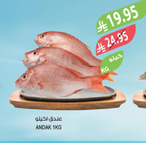 available at المزرعة in مملكة العربية السعودية, السعودية, سعودية - سكاكا
