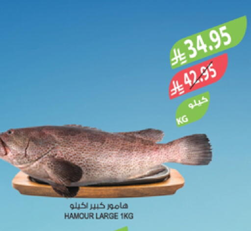 available at المزرعة in مملكة العربية السعودية, السعودية, سعودية - أبها