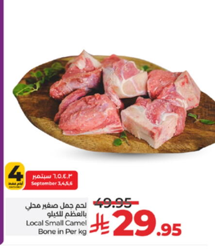 لحم حاشي available at لولو هايبرماركت in مملكة العربية السعودية, السعودية, سعودية - تبوك