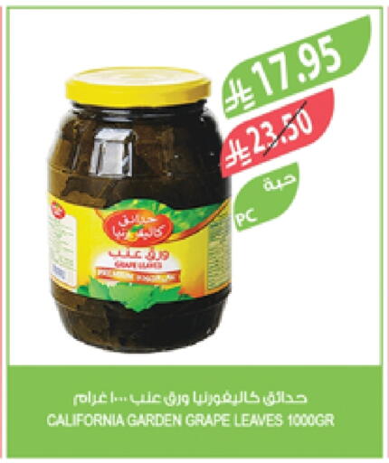 CALIFORNIA GARDEN available at Farm  in KSA, Saudi Arabia, Saudi - Yanbu