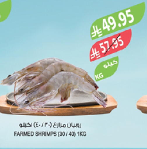 available at المزرعة in مملكة العربية السعودية, السعودية, سعودية - أبها