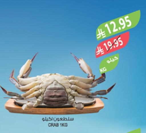 available at المزرعة in مملكة العربية السعودية, السعودية, سعودية - أبها